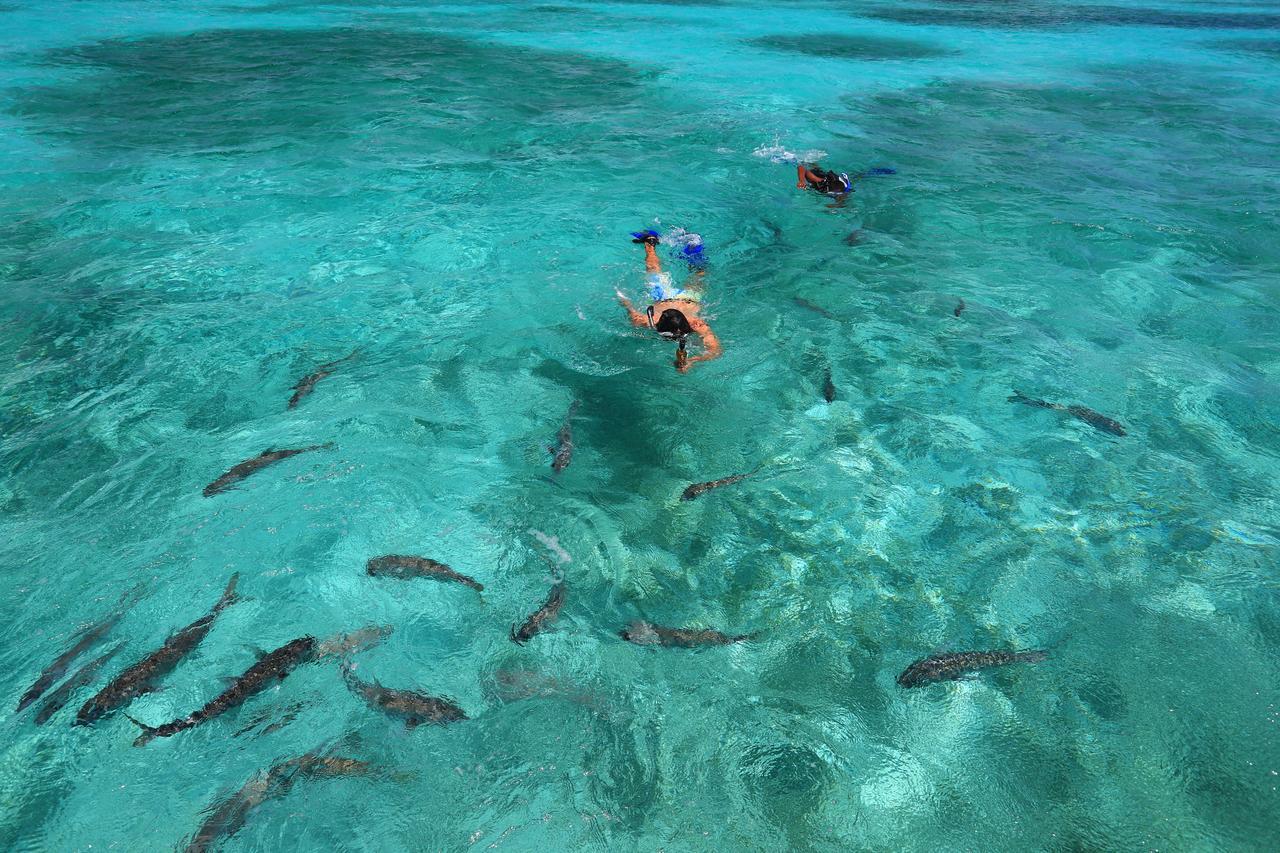 Cayo Espanto San Pedro  Exteriér fotografie